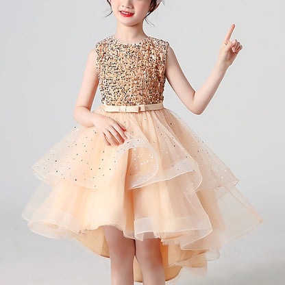Princess Party Girl Dress Girls' Flower