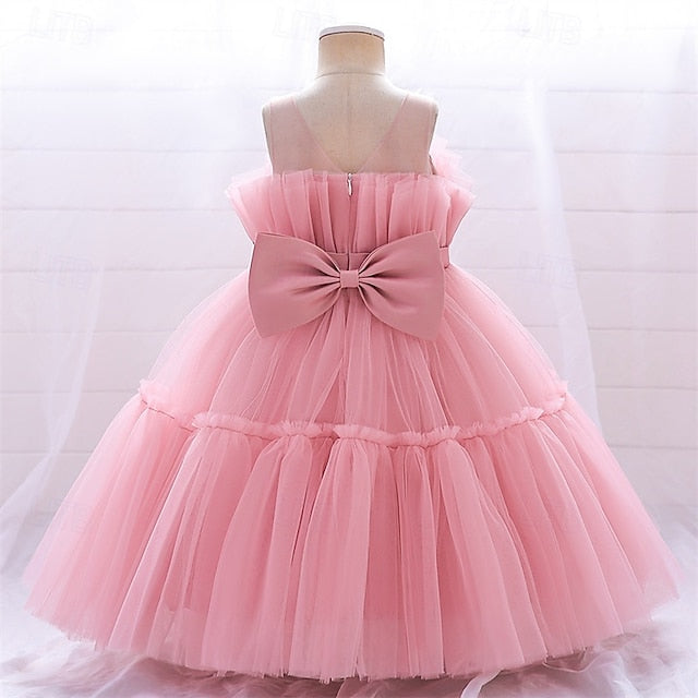 Kid's Flower Girls' Princess Dress Girl