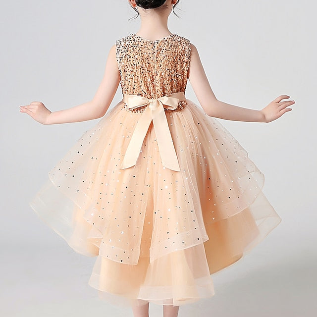 Princess Party Girl Dress Girls' Flower