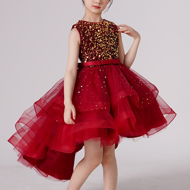 Princess Party Girl Dress Girls' Flower