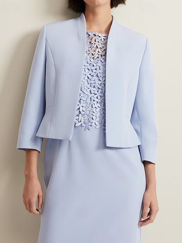 Bride Mother the Column of Sheath Elegant Crew Dress / Simple