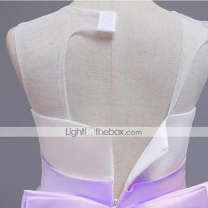 Formal Lace Flower Dress Girl Girls'