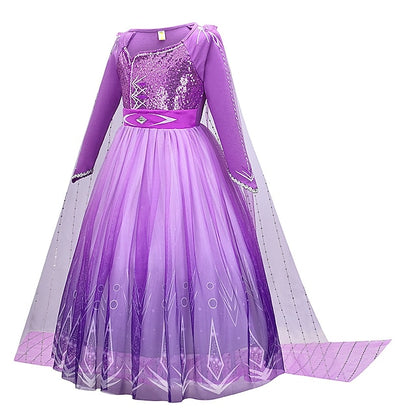 Anna Flower Party Dress Theme Frozen Fairytale Girl Princess