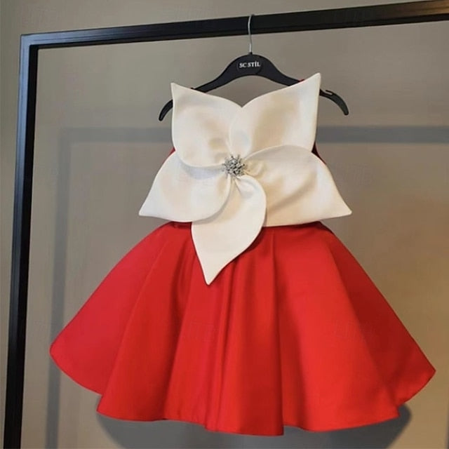 Princess Flower Dress Girl Kid's Girls'