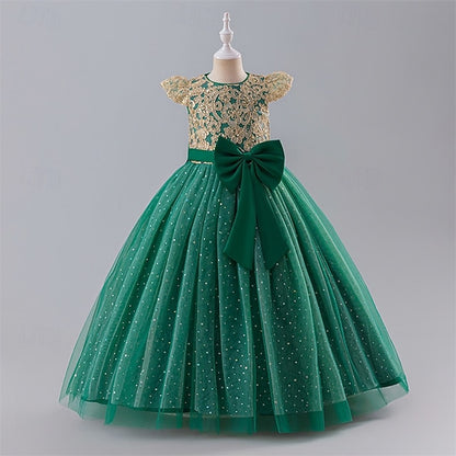 Girls' Girl Flower Princess Dress Kid's