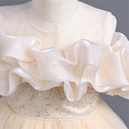 Party Kids Girls' Dress Color Solid Flower Girl