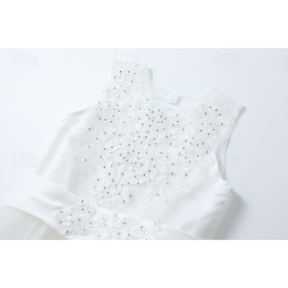 Kids Flower Girl Girls' Sleeveless Dress Wedding
