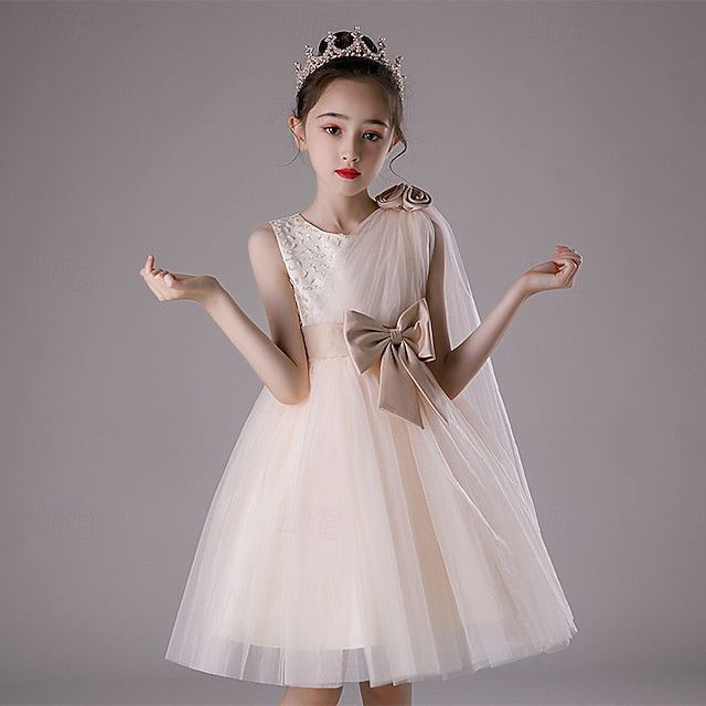 Princess Kid's Girls' Dress Flower Girl