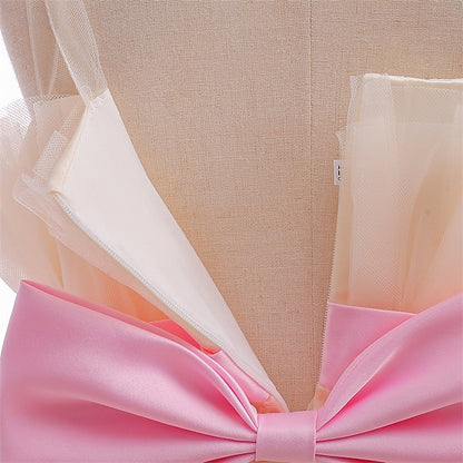 Princess Girls' Flower Girl Kid's Dress