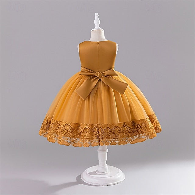 Girl Kid's Dress Flower Girls' Princess