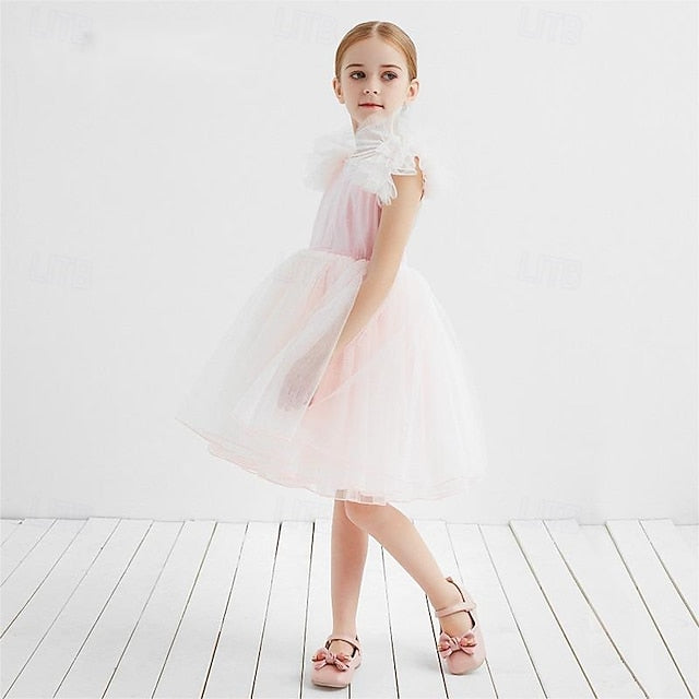 Flower Girls' Princess Kid's Dress Girl