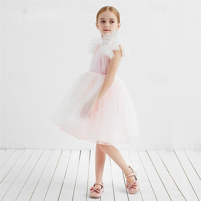 Flower Girls' Princess Kid's Dress Girl