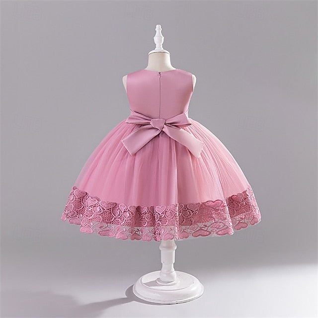 Girl Kid's Dress Flower Girls' Princess