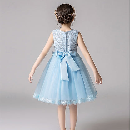 Flower Girl Princess Kid's Girls' Dress