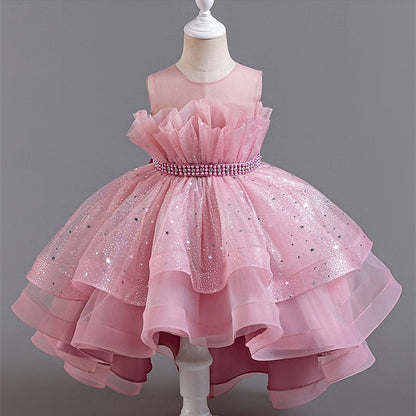 Girl Girls' Kid's Flower Princess Dress