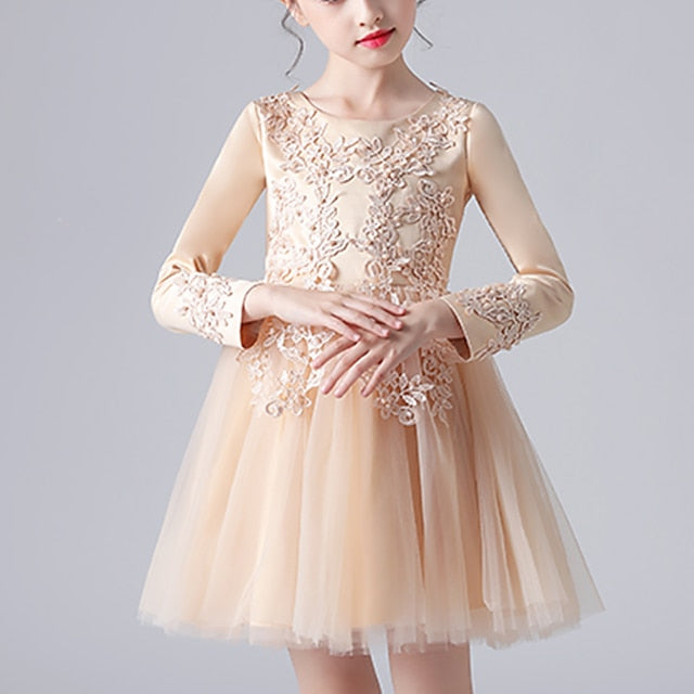 Girls' Girl Flower Princess Party Dress