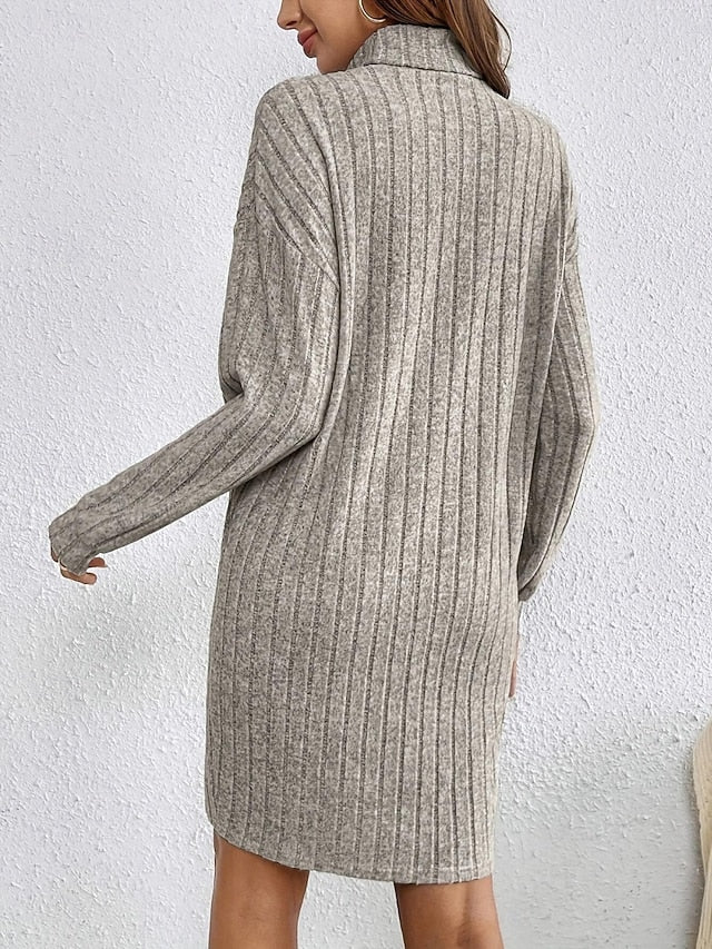 Women's Mini Dress Sweater Dress Casual Dress Fashion