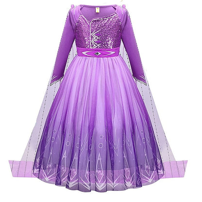 Anna Flower Party Dress Theme Frozen Fairytale Girl Princess