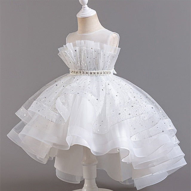 Girl Girls' Kid's Flower Princess Dress
