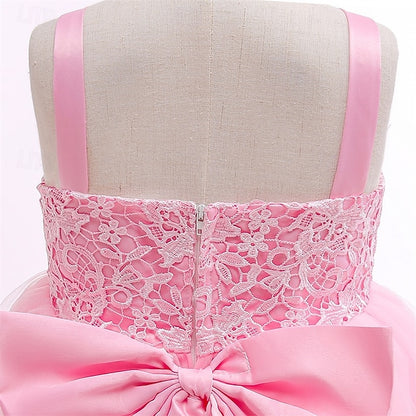 Flower Girls' Princess Dress Kid's Girl