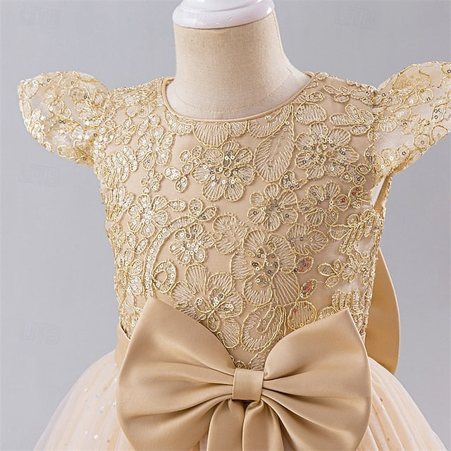 Girls' Girl Flower Princess Dress Kid's