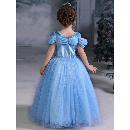 Princess Flower Frozen Party Elsa Dress Theme Girl Costume Tulle