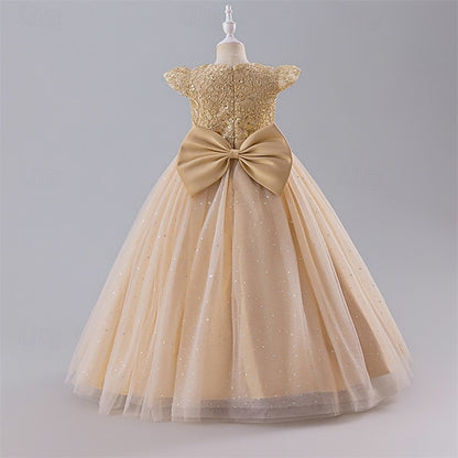 Girls' Girl Flower Princess Dress Kid's