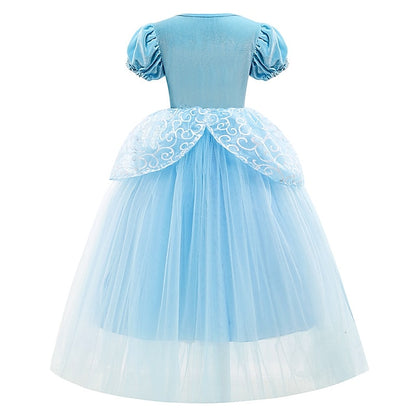 Girl Dress Princess Cinderella Flower Fairytale Theme Party