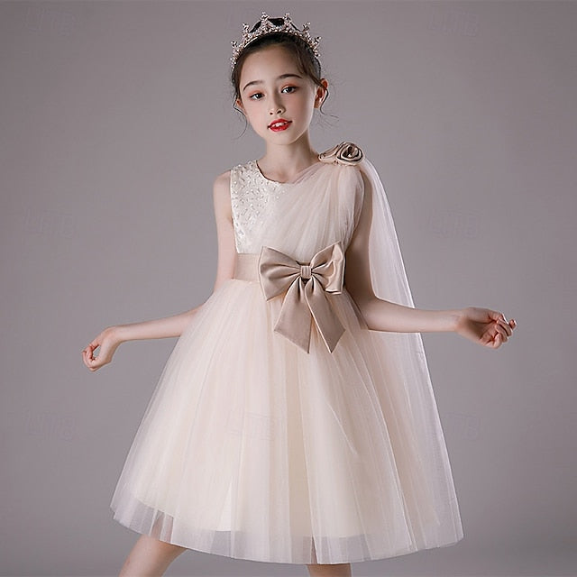 Flower Girl Kid's Princess Girls' Dress