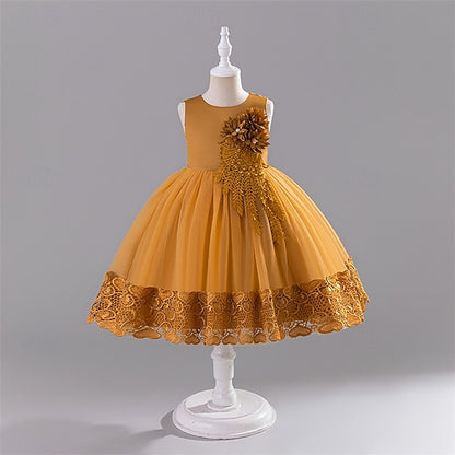 Girl Kid's Dress Flower Girls' Princess