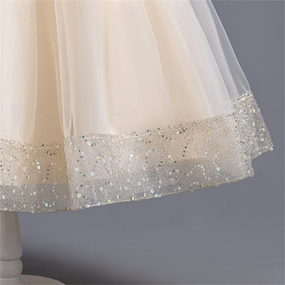 Party Kids Girls' Dress Color Solid Flower Girl