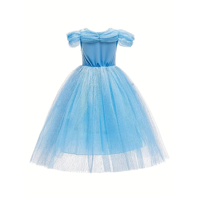 Princess Flower Frozen Party Elsa Dress Theme Girl Costume Tulle