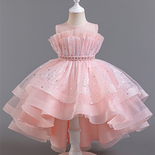 Girl Girls' Kid's Flower Princess Dress