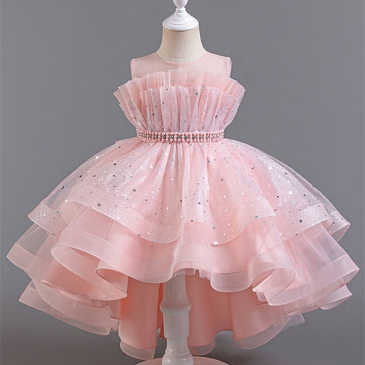 Girl Girls' Kid's Flower Princess Dress