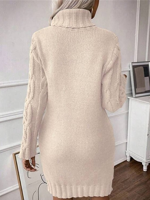 Women's Mini Dress Sweater Dress Knit Dress Casual Dress