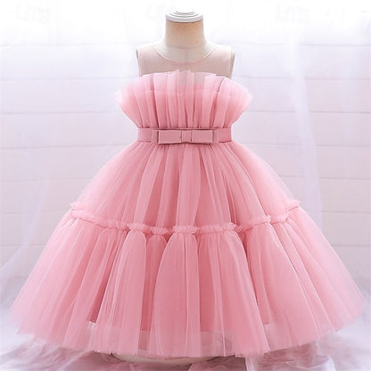 Princess Girls' Flower Girl Kid's Dress