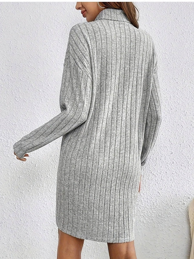 Women's Mini Dress Sweater Dress Casual Dress Fashion