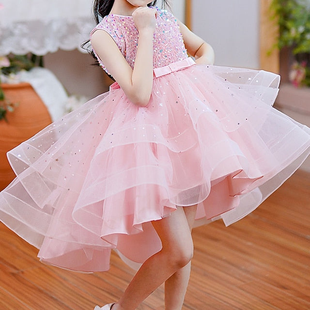 Princess Party Girl Dress Girls' Flower