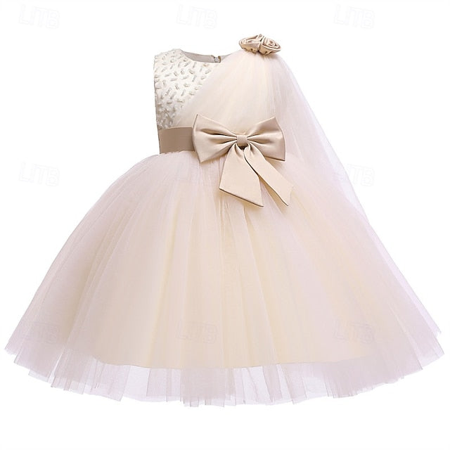 Flower Girl Kid's Princess Girls' Dress