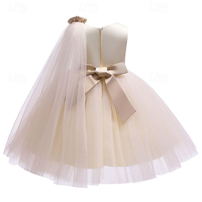 Princess Kid's Girls' Dress Flower Girl
