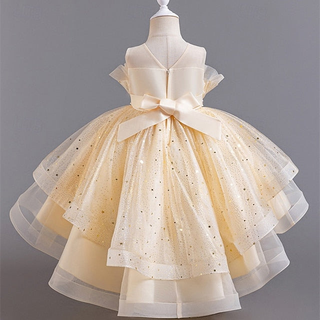 Girl Girls' Kid's Flower Princess Dress