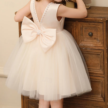 Party Girls' Kids Sleeveless Color Solid Dress Wedding