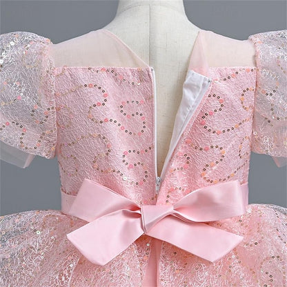 Girl Wedding Performance Flower Party Dress Girls'