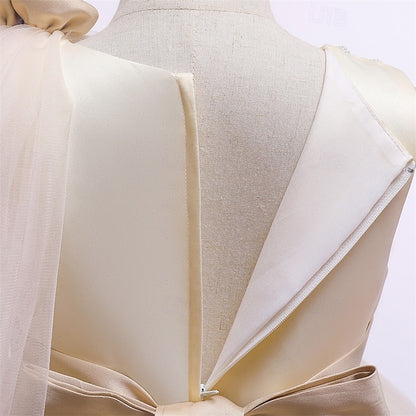 Princess Kid's Girls' Dress Flower Girl