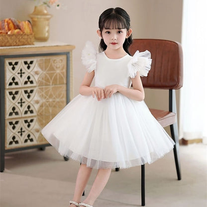 Flower Girls' Princess Kid's Dress Girl