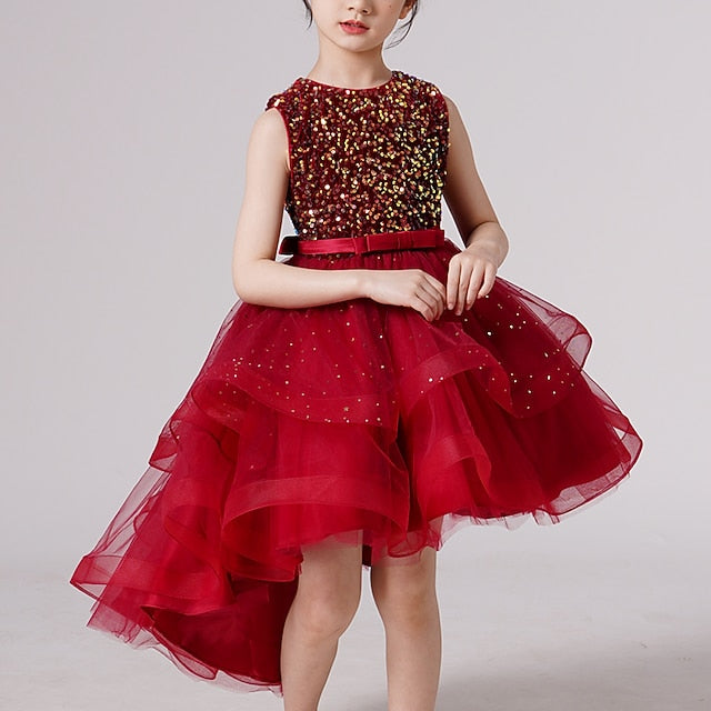 Princess Party Girl Dress Girls' Flower