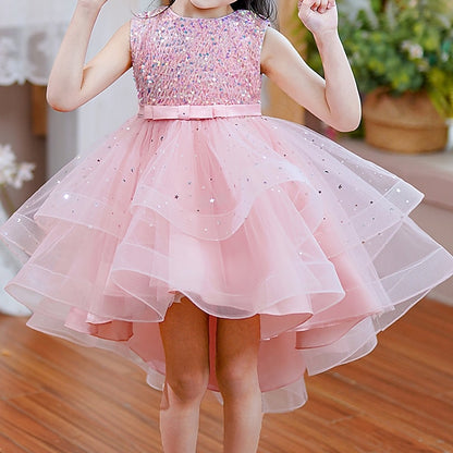 Princess Party Girl Dress Girls' Flower