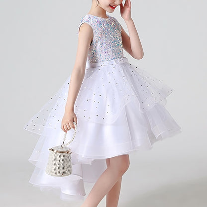 Princess Party Girl Dress Girls' Flower