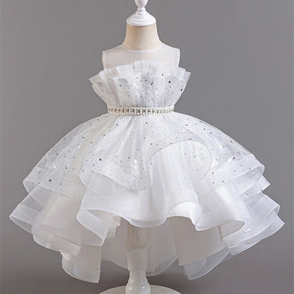 Girl Girls' Kid's Flower Princess Dress