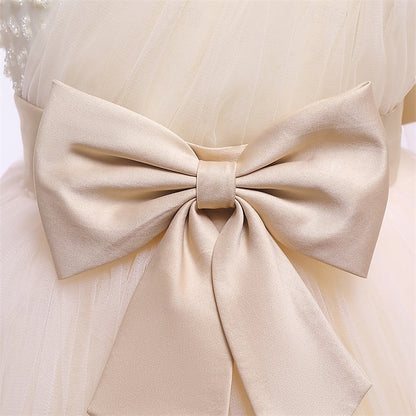 Princess Kid's Girls' Dress Flower Girl